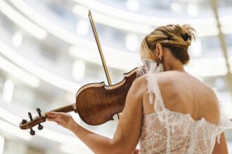 violin, violinist, musician, instrument, music, art, artist, talent, scene, concert, portrait, beautiful, woman, musical, sound, sound, sound, sound, sound, sound