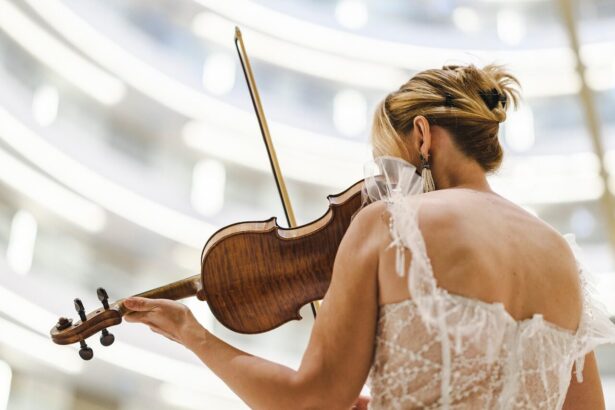 violin, violinist, musician, instrument, music, art, artist, talent, scene, concert, portrait, beautiful, woman, musical, sound, sound, sound, sound, sound, sound