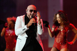 Pitbull