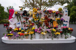 Obit Dolly Parton Reaction
