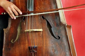 violoncello, violin, bass, instrument, music, violoncello, violoncello, violoncello, violoncello, violoncello, violin, violin, bass, bass