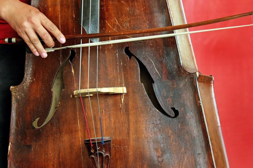 violoncello, violin, bass, instrument, music, violoncello, violoncello, violoncello, violoncello, violoncello, violin, violin, bass, bass